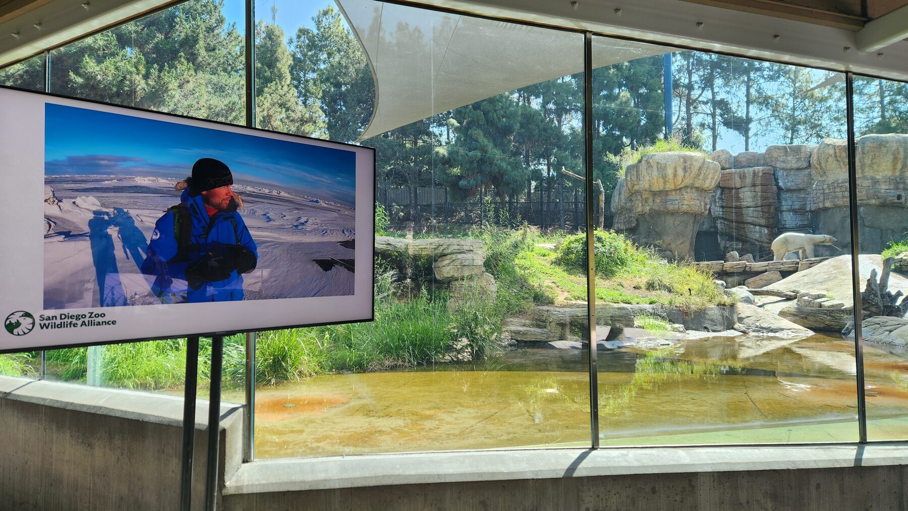 Homepage gallery image